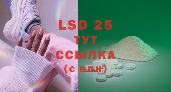 ПСИЛОЦИБИНОВЫЕ ГРИБЫ Лагань