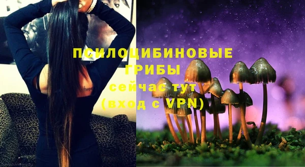 крисы Лабытнанги