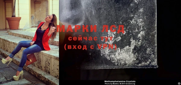 ПСИЛОЦИБИНОВЫЕ ГРИБЫ Лагань