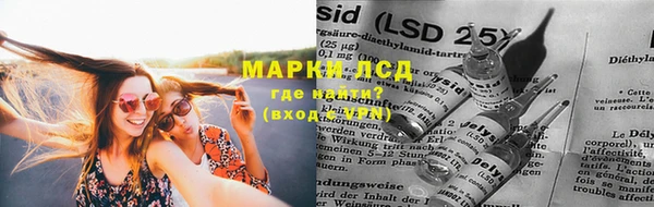 крисы Лабытнанги
