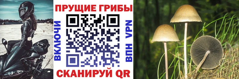 Галлюциногенные грибы мухоморы  blacksprut сайт  Шахунья 